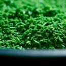 La spiruline en France : découvrez la production locale en Cévennes !