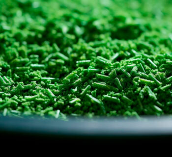 La spiruline en France : découvrez la production locale en Cévennes !